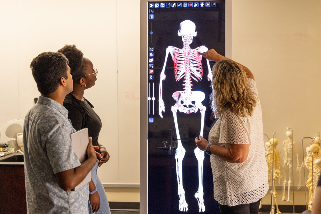 Students looking at anatomy of the human body.
