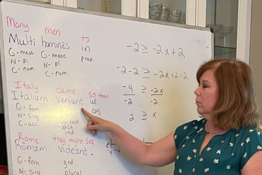 A woman in a green shirt is pointing to a lesson on a white board.