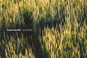 Album cover of Found in the Field