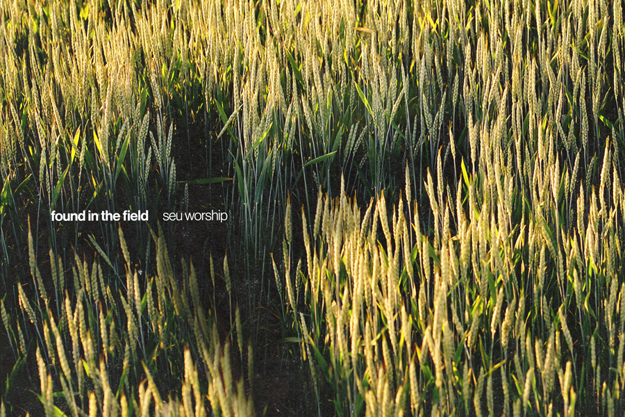 Album cover of Found in the Field